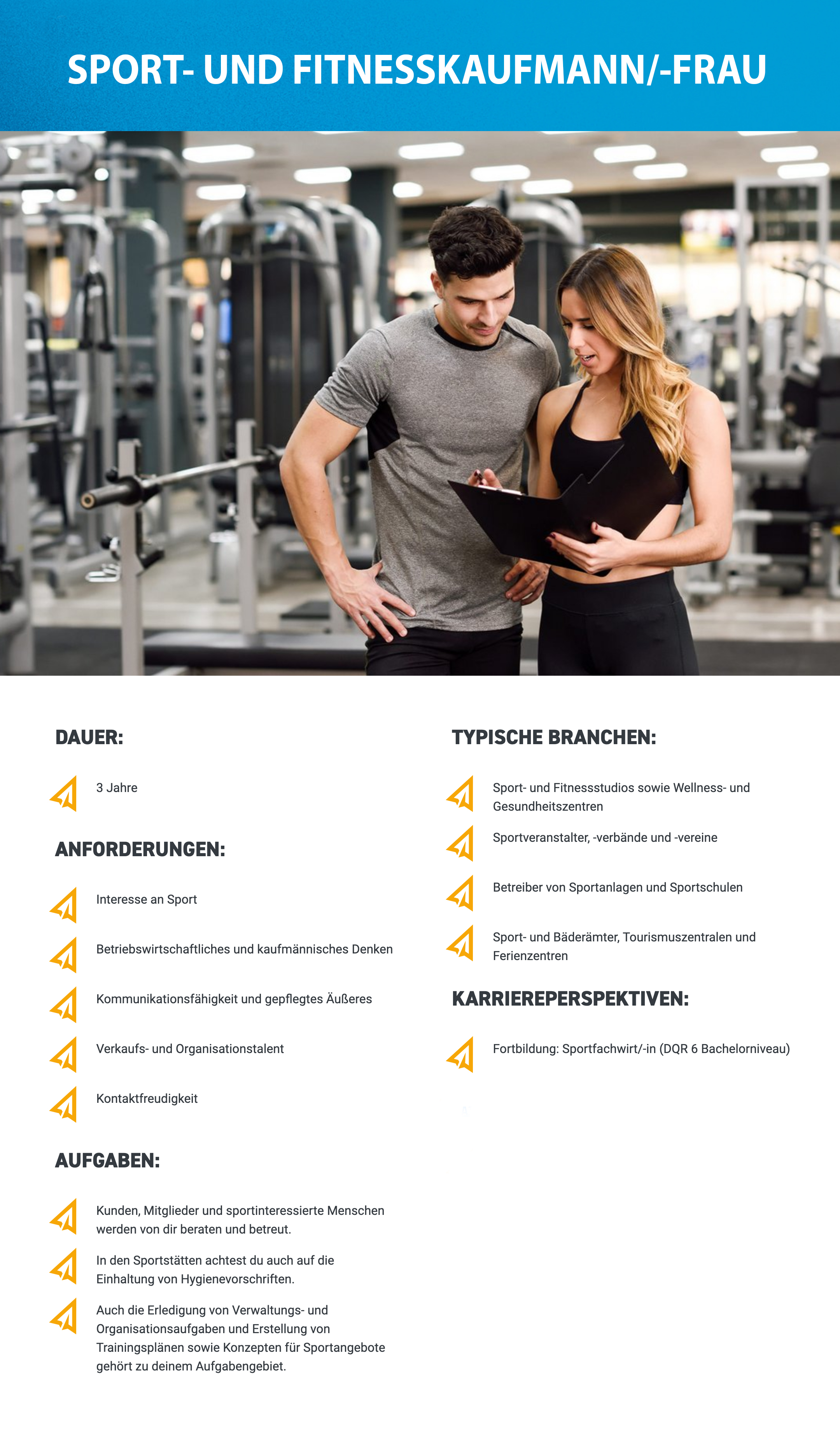 Shape Ausbildung